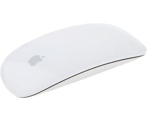 APPLE Magic Mouse(MB829) 
